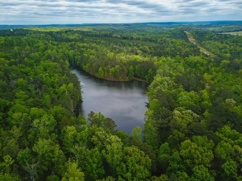 Farm & Forest Brokers