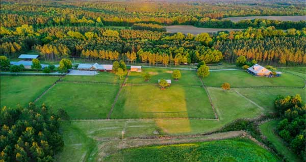 Farms
