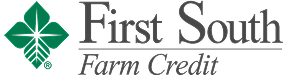 FirstSouth